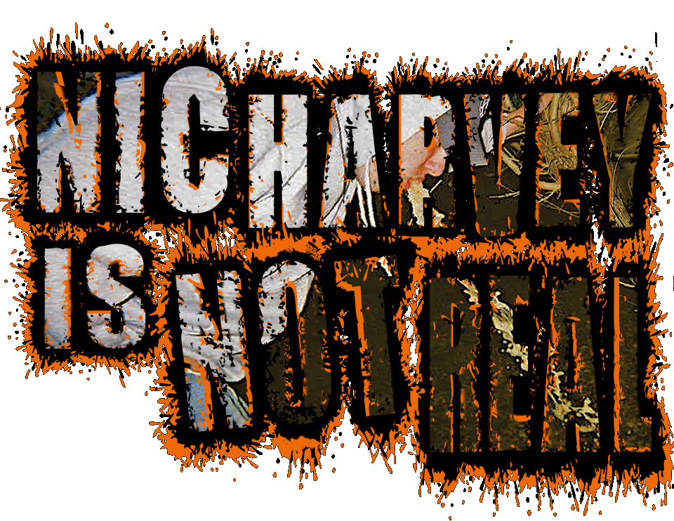 nic harvey is not real